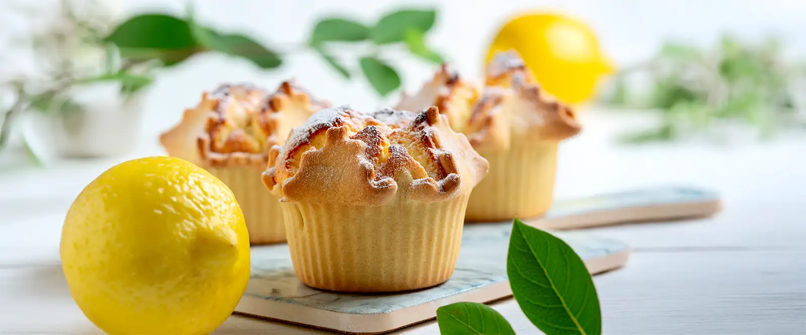 Köstliche Zitronen-Muffins